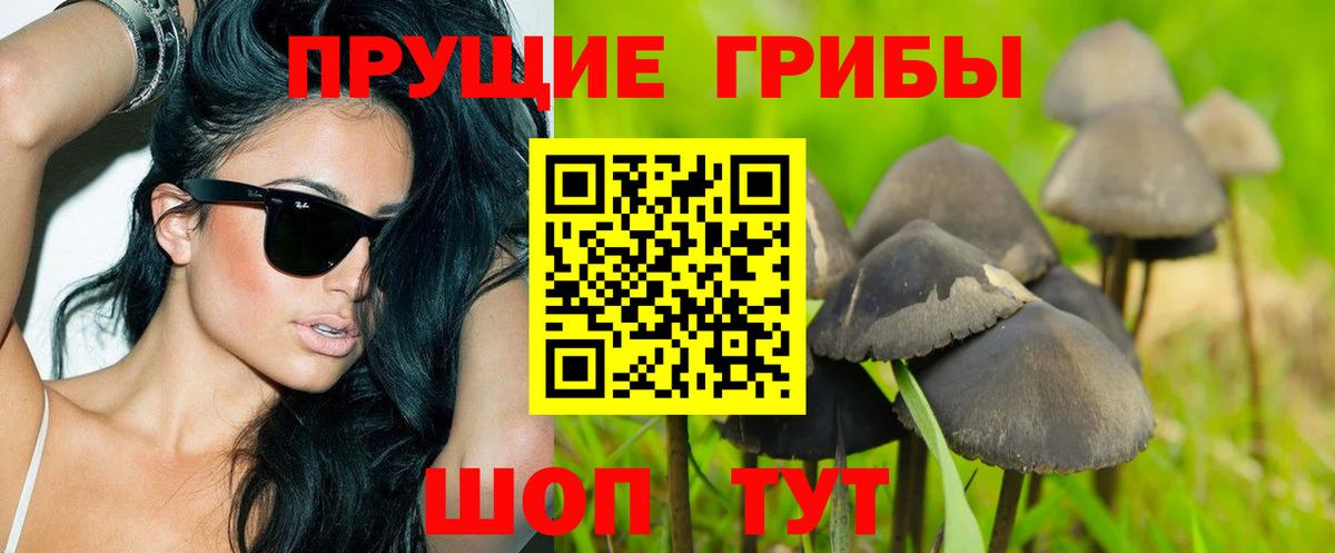 Галлюциногенные грибы GOLDEN TEACHER  Галлюциногенные грибы ЛСД  Учалы  Вход с VPN 