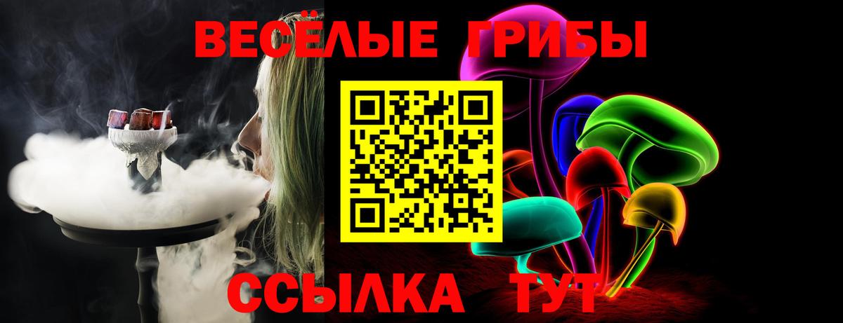 Псилоцибиновые грибы Psilocybe Учалы